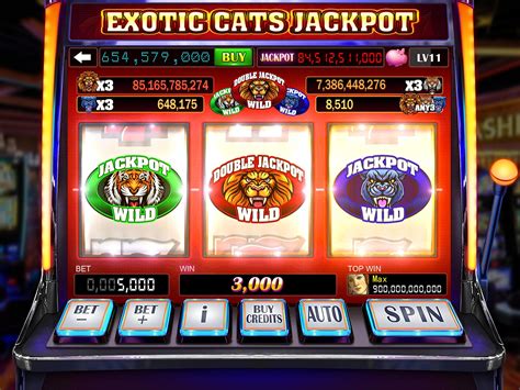 slots 7780  Earlier, it was available just in casino, but now you can play it online! It is a standard 5-reel game with 4 animal-themed symbols on each of them